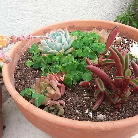 度假居 La Casita Azul *