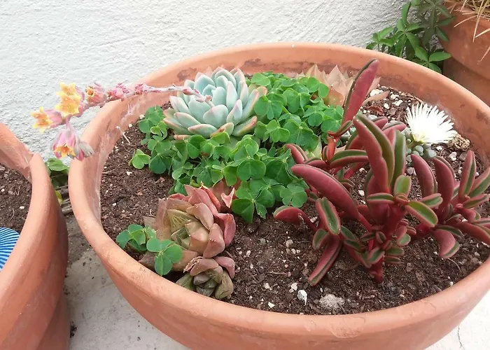 別荘 La Casita Azul *